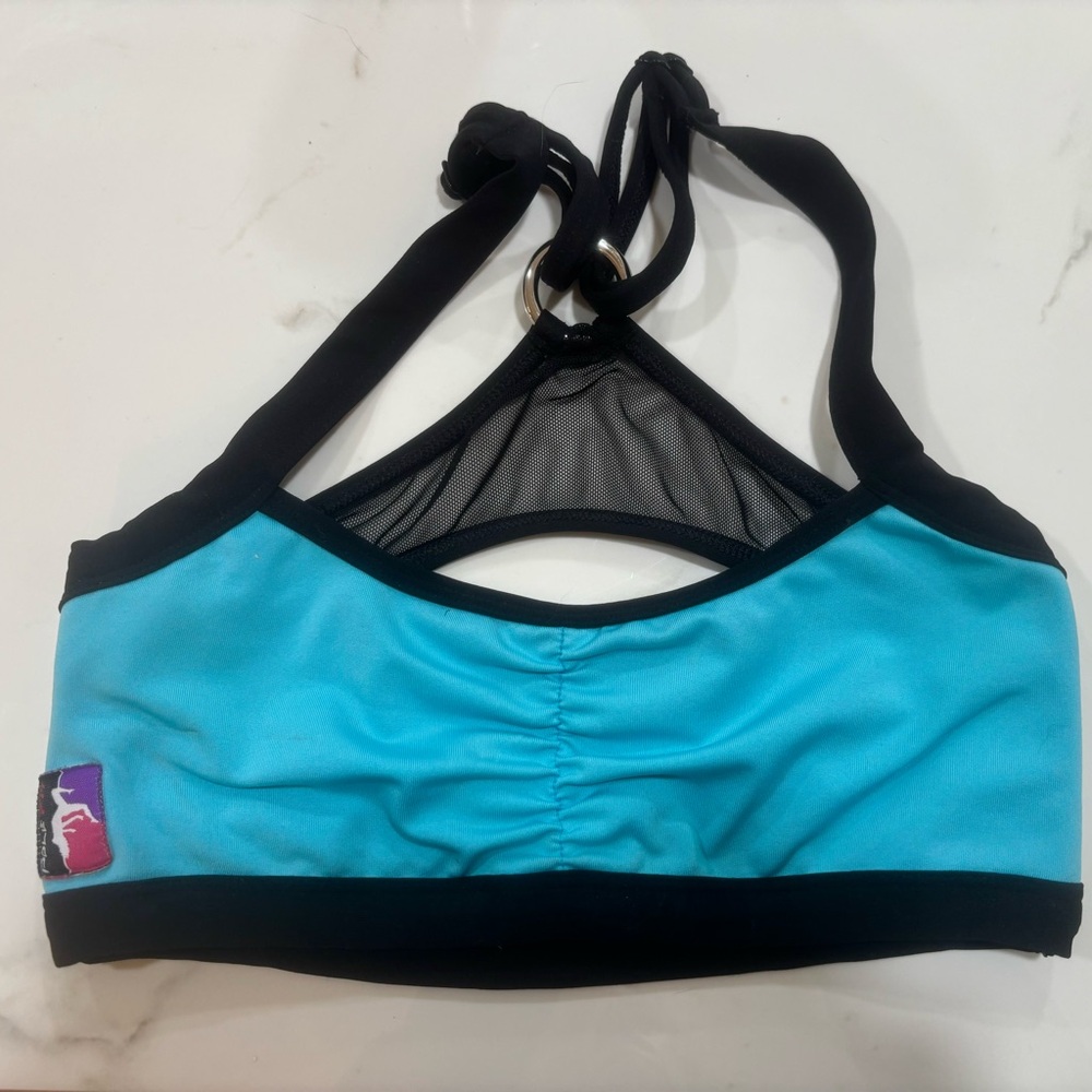 Aqua & Black BAD Kitty Pole fit hardware and mesh top